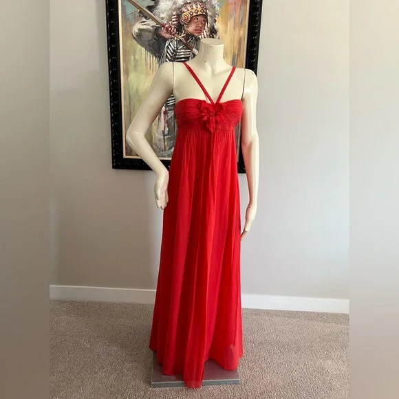 BCBGMaxAzria Vibrant Red 100% Silk Maxi Dress – Size 0 - Picture 3 of 16